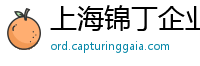 上海锦丁企业登记代理
